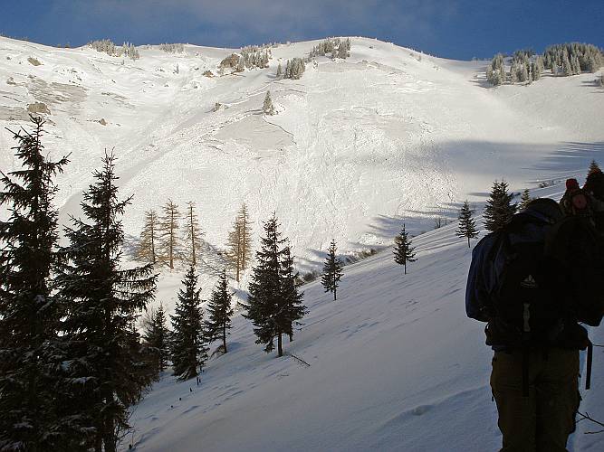 09 Die jaehrlichen Lawinen am Rauschkogel